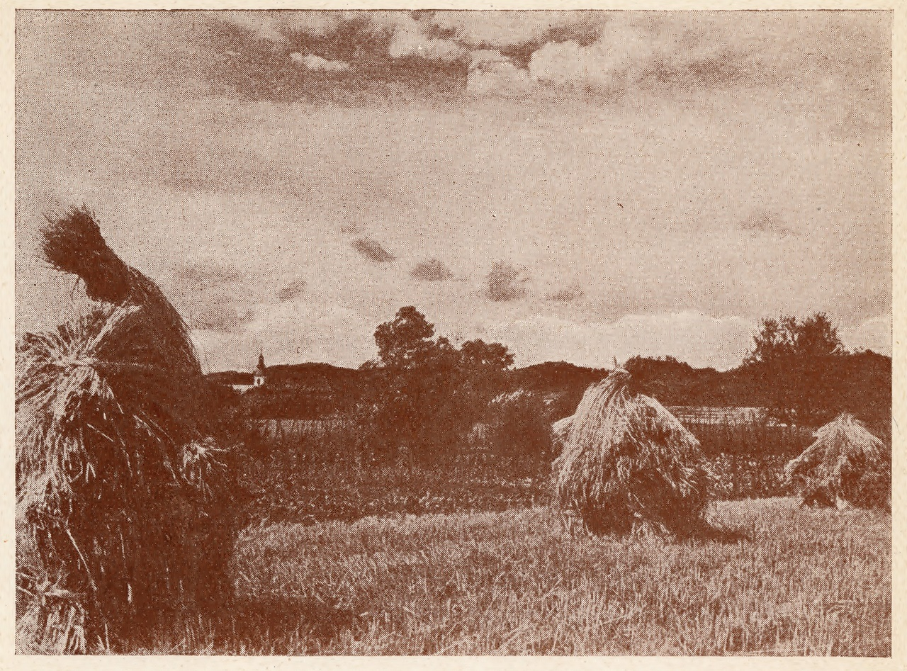 Н. Нижанковський. По жнивах. Каталог ІІ виставки української аматорської фотоґрафіки у Львові, 1931 р. (збірка Львівського Фотомузею)