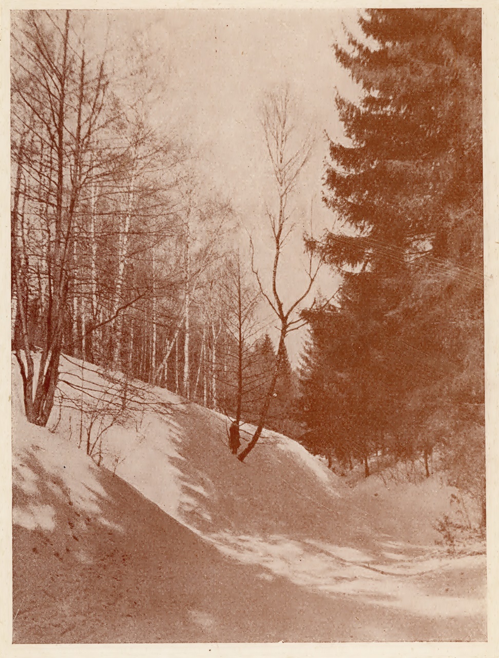 Р. Совяковський. Тіни. Каталог ІІ виставки української аматорської фотоґрафіки у Львові, 1931 р. (збірка Львівського Фотомузею)