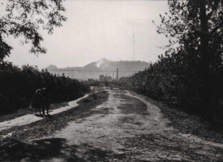 Львів, Замарстинів, жовтень 1961 року. Світлина Юліана Дороша