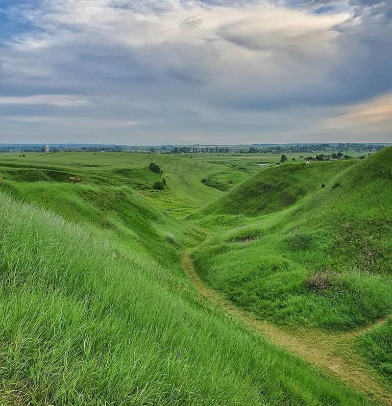 Трава на зелених пагорбах здається шовковою