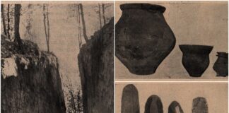 Що знайшли археологи на розкопках у Малих Грибовичах в 1930-х роках