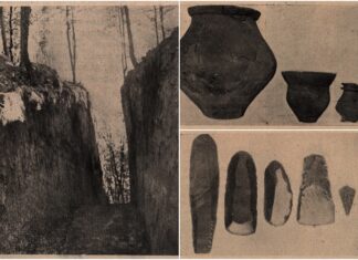 Що знайшли археологи на розкопках у Малих Грибовичах в 1930-х роках