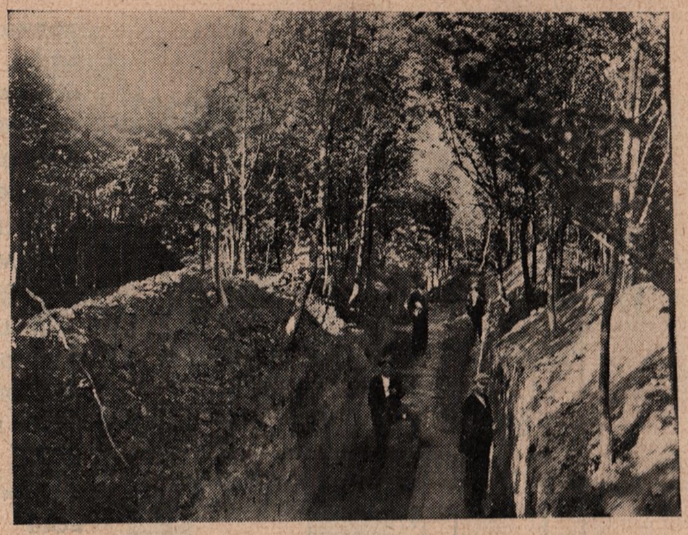 Один із перекопів на городищі у Грибовичах Малих. Фото, 1930-х рр.