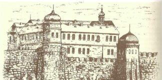 Торгувати, судити і навчати, або чого не зробиш для львів’ян