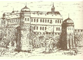 Торгувати, судити і навчати, або чого не зробиш для львів’ян