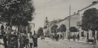 Ринок в Бродах, 1900-ті рр.