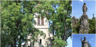 Костел та цвинтар у Демні