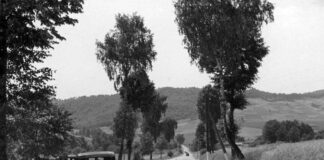 Типова дорога у Львівському воєводстві (фото Henryk Рoddebski)