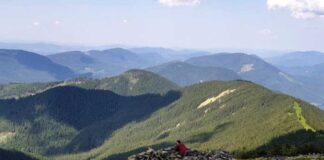 Як Карпати боронили Україну під час другої світової війни. Тільки перевірені факти