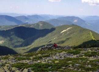 Як Карпати боронили Україну під час другої світової війни. Тільки перевірені факти