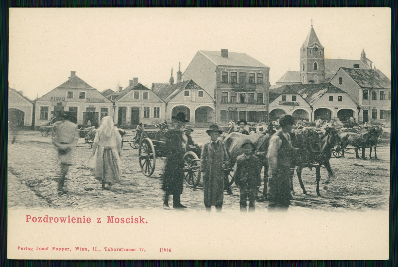 Панорама з Мостиська, 1904 р.