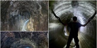 Полтвою до Личаківського кладовища (відео)