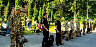 Парад фронтових собак у Львові. Світлив Тарас Грень