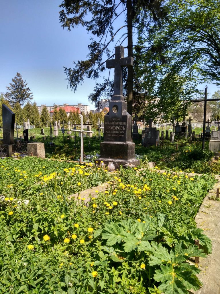 Понівечене поховання лікаря Миколи Прохорова старшого