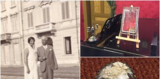 «Скарби Соломіїного дому»