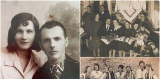 Негребецькі