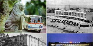 Із історії автобусних перевезень у Львові. Частина третя