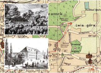 15 цікавих фактів про вулицю Максима Кривоноса у Львові