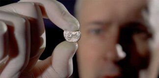 На околицях Львова знайшли монети давнього Риму Фото: Рятівна археологічна служба