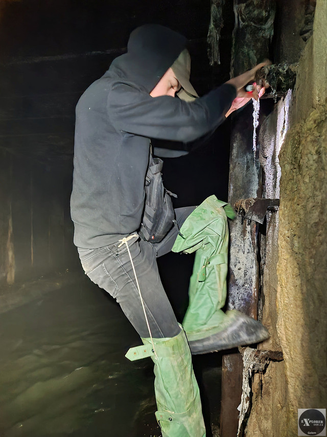 Нове покоління дослідників Полтви