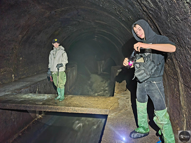 Біля готелю "Львів"