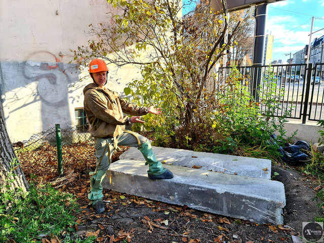 Що за неподобство! Негайно їх звідси заберіть!