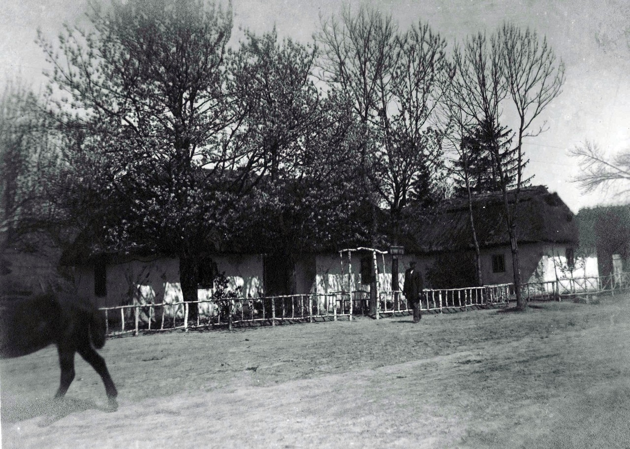 Село в Галичині, 1916 р.