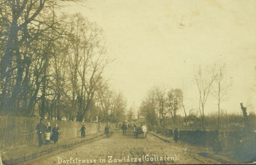 Село Завидче, 1917 р.