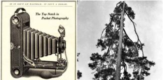 Іван Труш - патріарх українського фотомистецтва