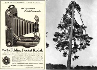 Іван Труш - патріарх українського фотомистецтва