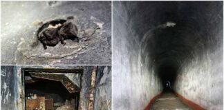 "Лощина", або підземний бункер коло центру Львова