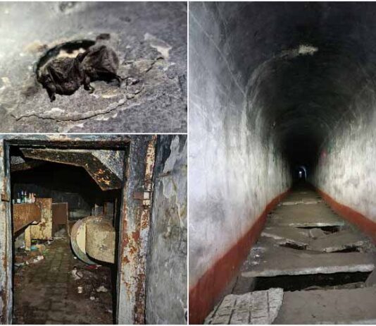 "Лощина", або підземний бункер коло центру Львова