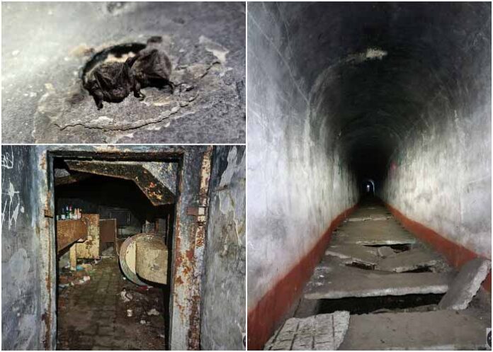 "Лощина", або підземний бункер коло центру Львова