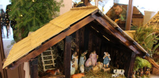 Фестиваль Різдвяних шопок в Дрогобичі