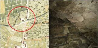 У підвалі аварійного будинку у Львові знайшли підмурівки млина часів князя Лева