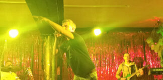 Віктор Винник і МЕРІ