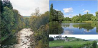 Десять найдовших річок, що протікають Львівщиною