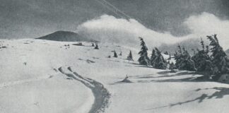 З’їзд. Автор Максиміліан Дудрик