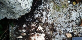 Поруйнований надгробок і просто під ногами – фото молодої красивої жінки