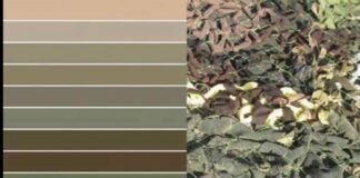 Маскувальна сітка