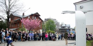 У Трускавці з’явилось перше у світі Дерево Миру