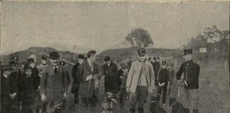 Дресирування