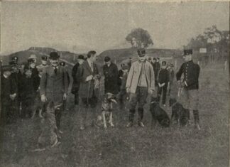 Дресирування