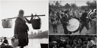 Що про предків можна дізнатись із погосподарських книг?