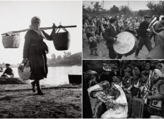 Що про предків можна дізнатись із погосподарських книг?