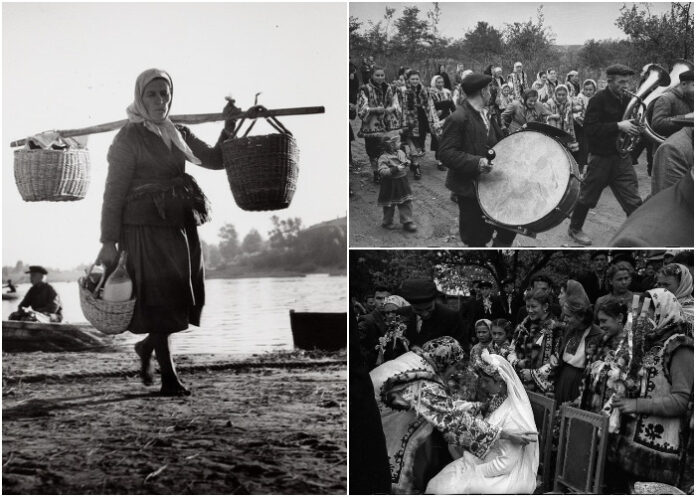 Що про предків можна дізнатись із погосподарських книг?