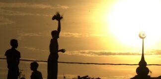 "Від шепоту до крику" - у Львові покажуть фестивальне кіно