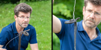 Тарас Гринчишин