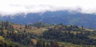 Вершина гори Ільза. Вид зі Славська