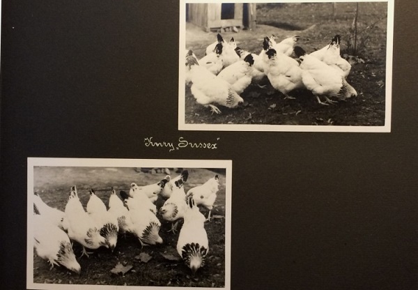 Приватна школа для жінок на Снопкові, поч. ХХ ст.